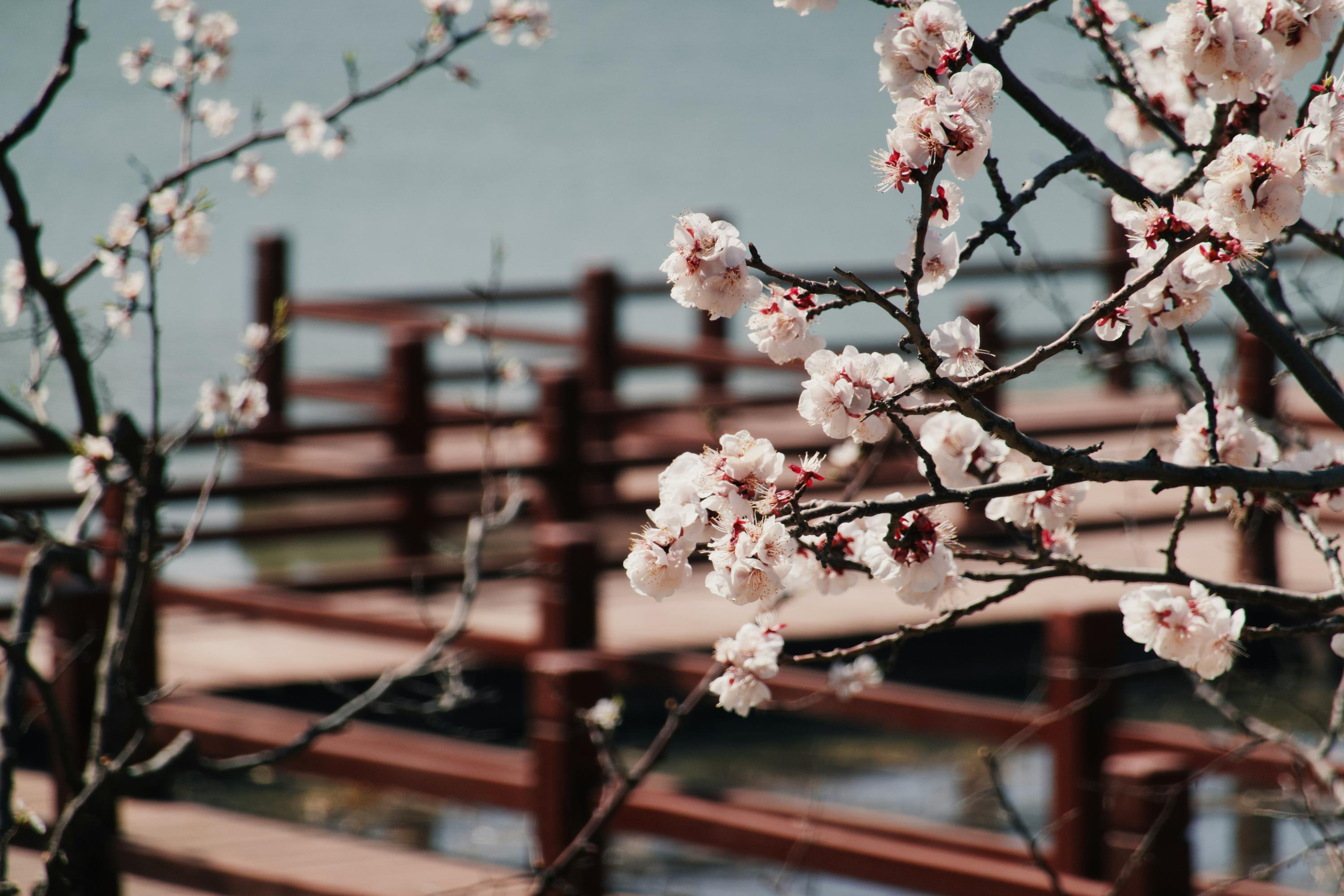 Cultural Travel Preference Statistics in 2024-2025